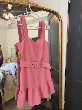 Pink Belted Ruffle Hem Mini Dress originally $246 amazing deal size XS NWT